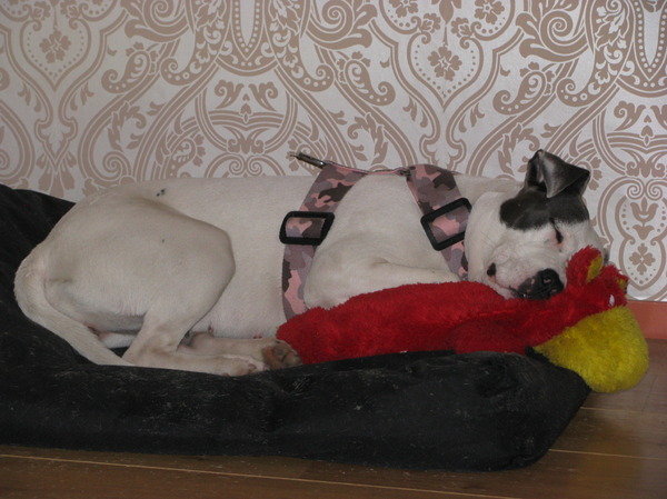 lady met haar knuffel