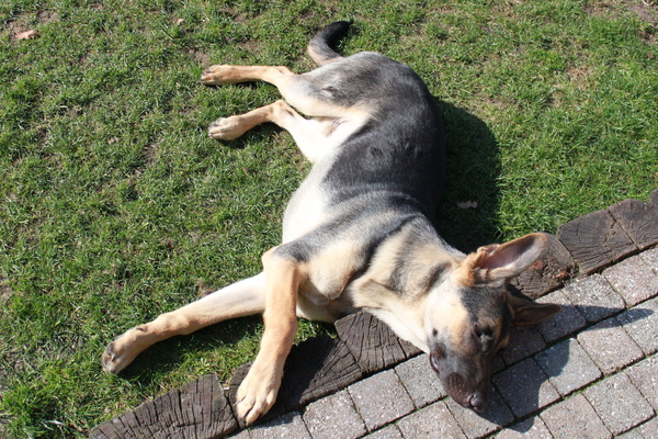 Kort slaapje buiten...