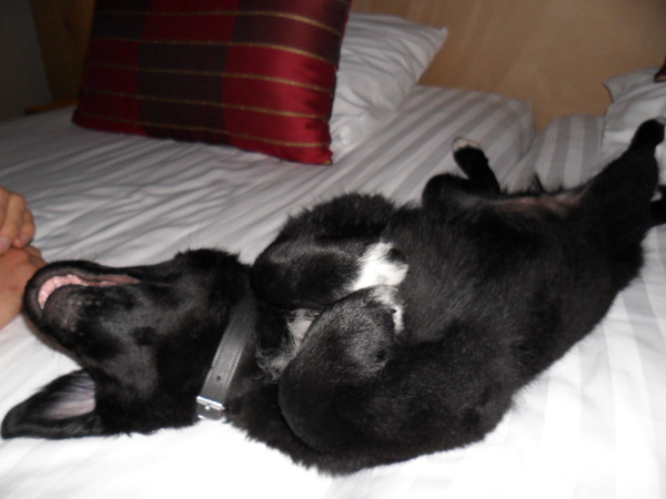 Heerlijk zo'n hotel bed :)