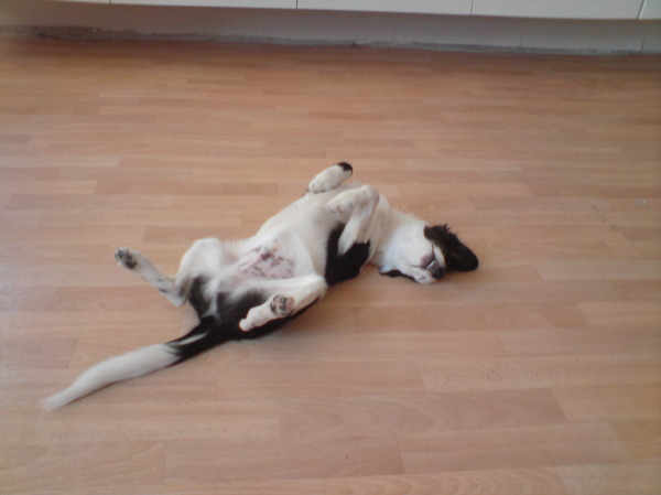 verhuizen? lekker slapen ja!