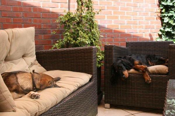 Het is niet eerlijk !!!