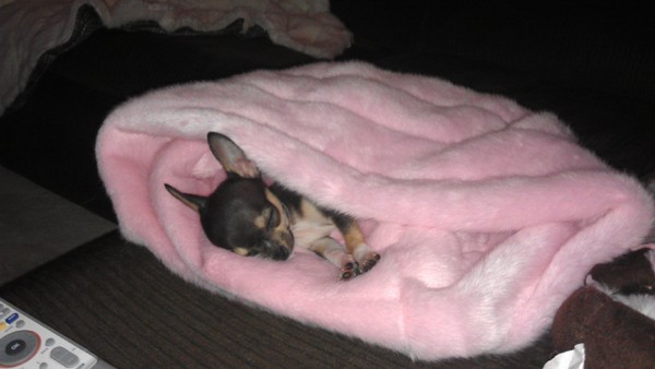 heerlijk warm in zijn slaapzak