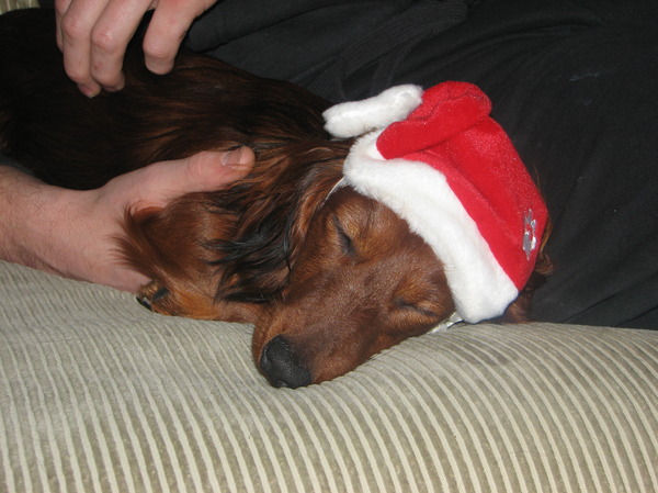 zo een nu even lekker slapen net mijn buikje vol gegeten