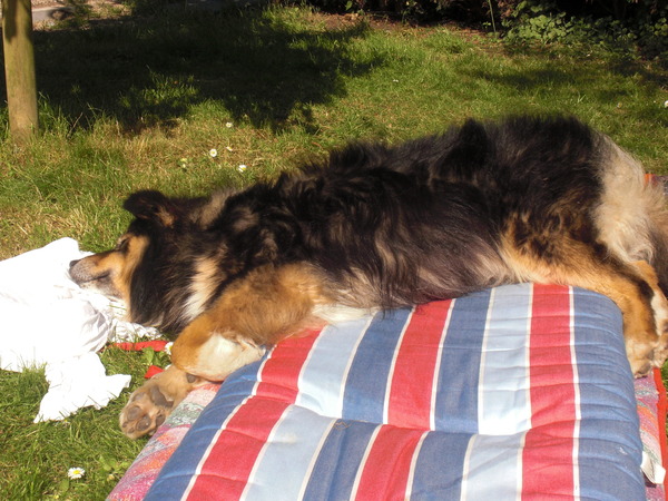 Ben je even weg....kom je terug en is je plekje ingepikt :)