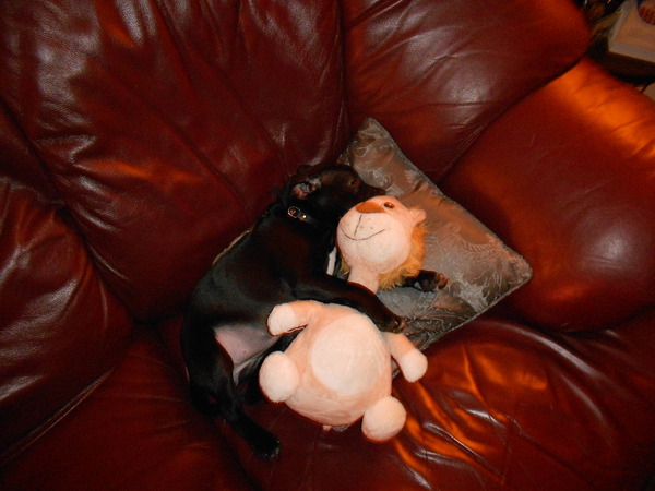 Slapen met mijn favoriete knuffel