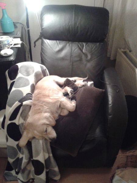 Waarom in je mand als er een heerlijke stoel voor je klaar staat