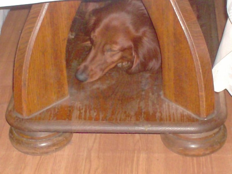 eindelijk een rustig plekje voor een dutje