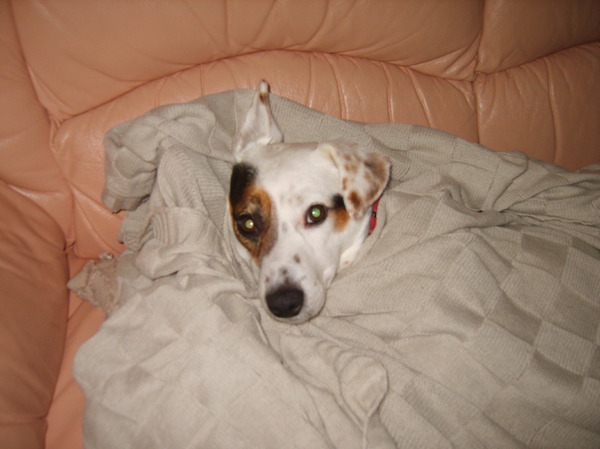 zzzzzzzzzz,je hebt me wakker gemaakt