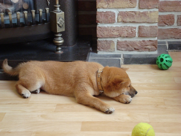 Kenai toen ze klein was!