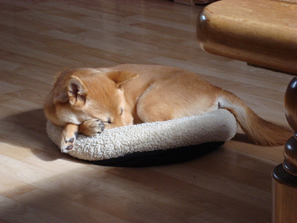 Kenai toen ze klein was!