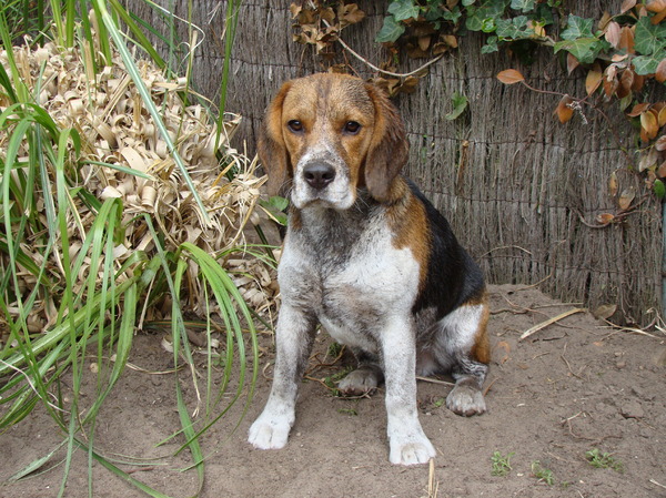 ik hoef toch niet weer in bad he?