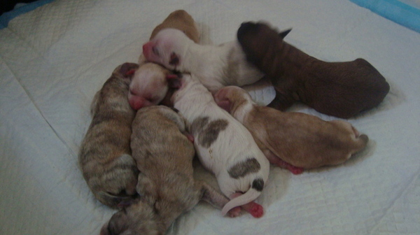 sandy en broertjes en zusjes