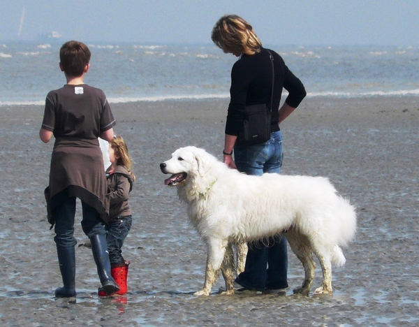 Frodo aan zee
