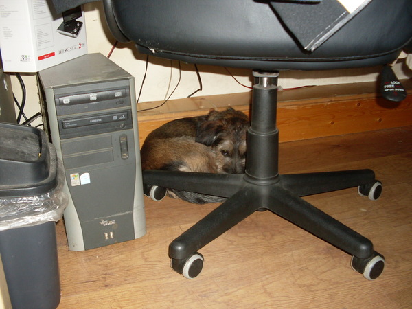 pas er best tussen hoor