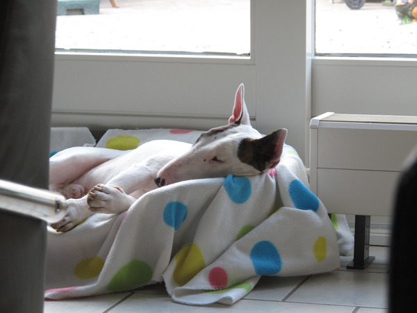 Zijn heerlijke schoonheidsslaapje