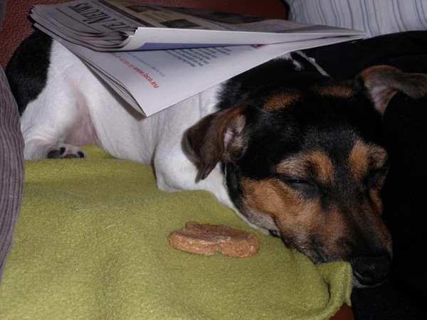 zo heerlijk dekentje