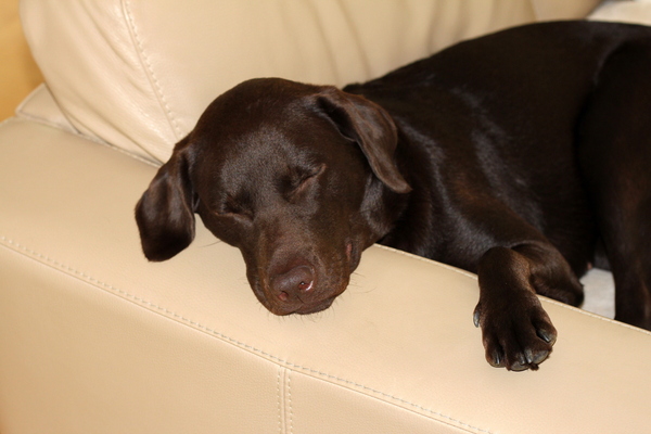 Wat heb ik het hier goed!! Sleep well.