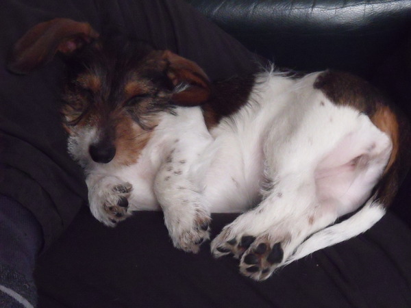 mijn schoonheids slaapjes