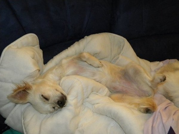 Een geweldig dutje ! 