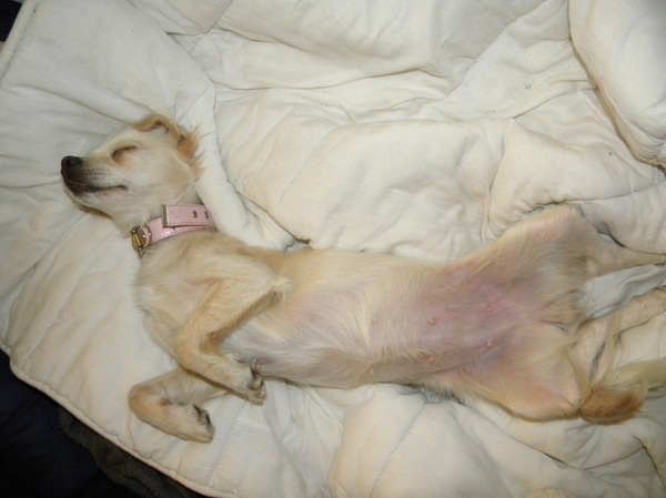 Een uitputtende dag achter de rug!