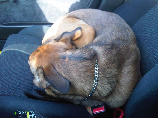 na het wandelen op de hei