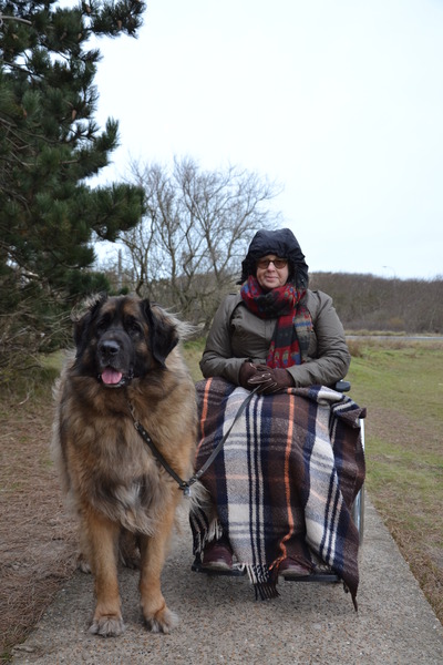 Leonberger