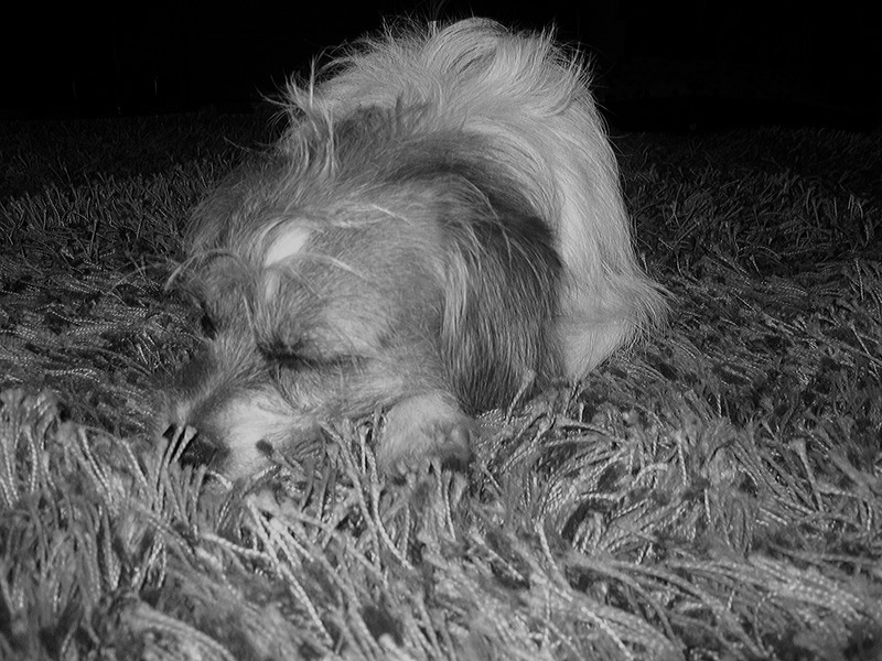 storm in diepe slaap