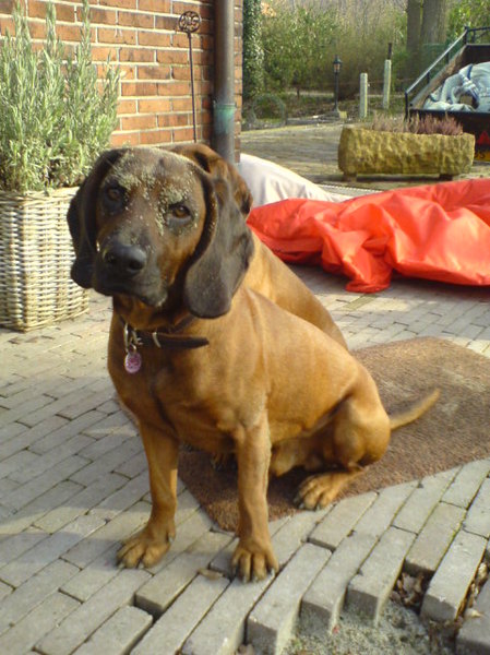 Lekker gespeeld in het zand