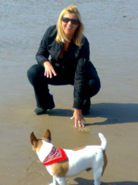 Jack Russell Terrier