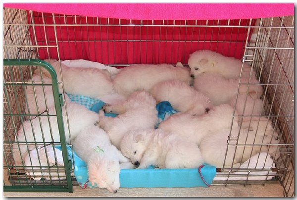 Met zijn alle een tukkie doen