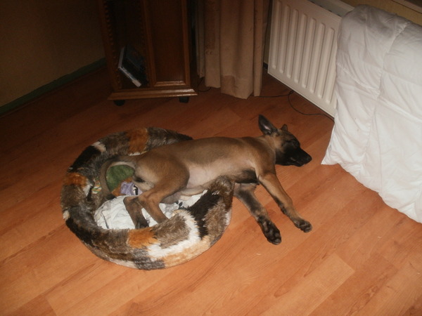 lela in te klein mandje 