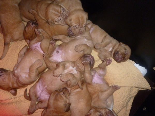 buikjes vol nu lekker slapen