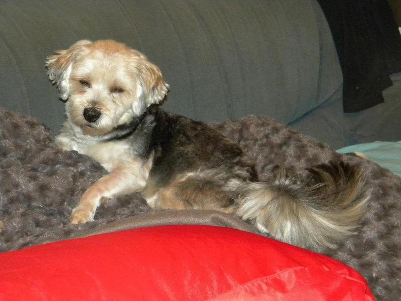 Taiko's eerste slaapje bij mij