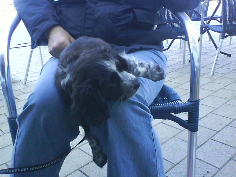 kei kapot na wandeling