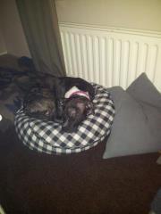 wat een weertje buiten...