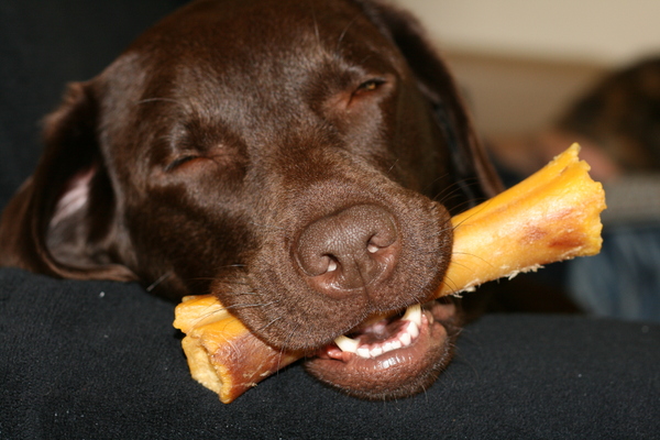 Slapen met mijn bot....