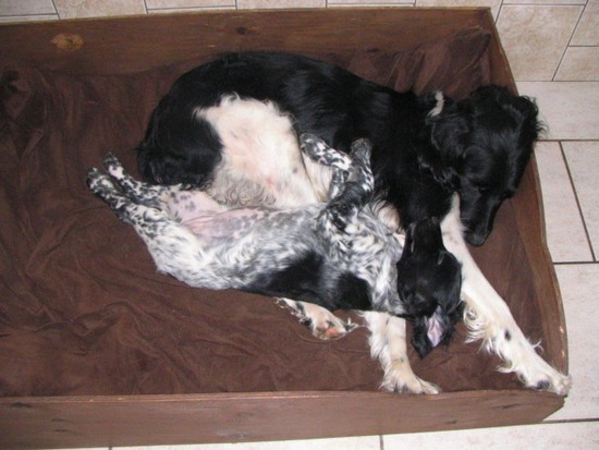 lekker uitrusten bij mijn pleegmoeder