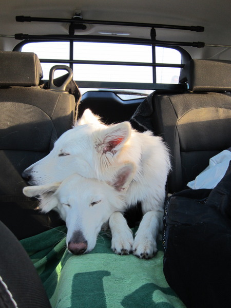 samen snurken in het skiluik ;-)