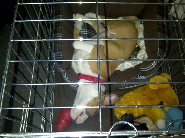 spierpijn aan haar nek haha?