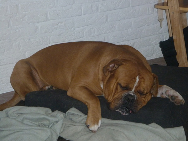 Zo zielig op een te klein kussentje hahaha