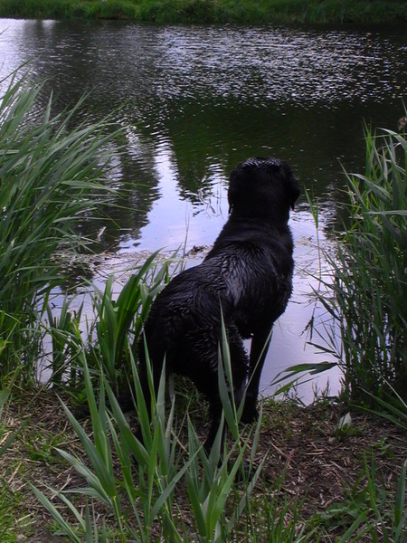 Het natuurschoon bewonderen!