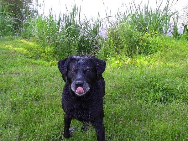 Iets lekker of iets leuks?