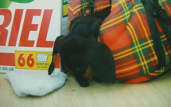 Wat ruikt hier zo lekker??