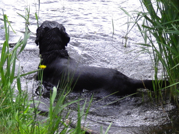 Water is alles voor 'm!