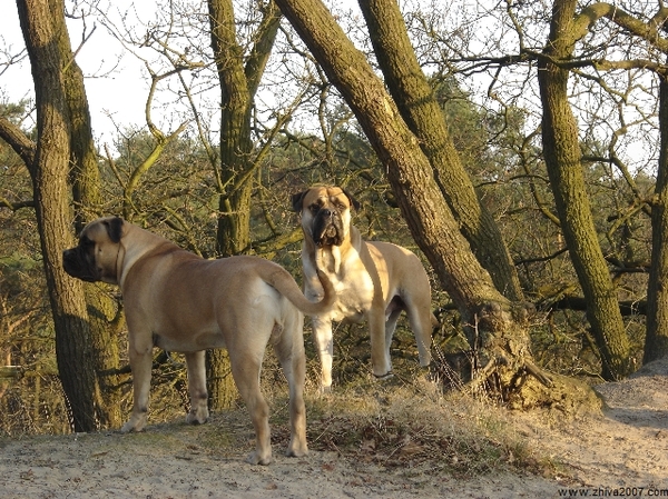 genieten van de laatste zonnestraaltjes op een doordeweekse dag