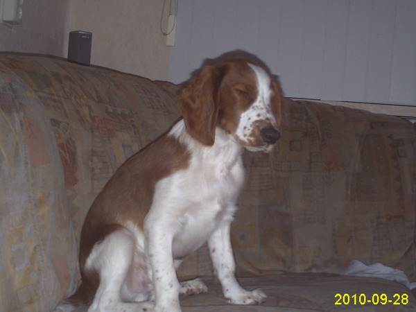 Ik ben zoooo moe....