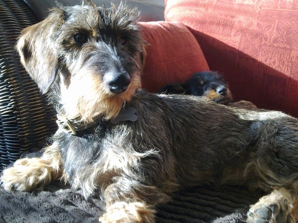 Lekker tukken achter mijn grote broer...