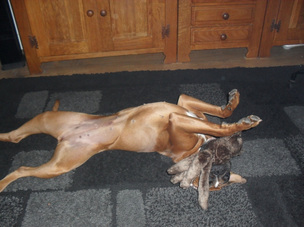 Spelend in slaap vallen.