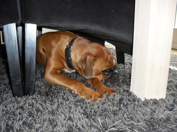 Buikje vol dan lekker slapen.