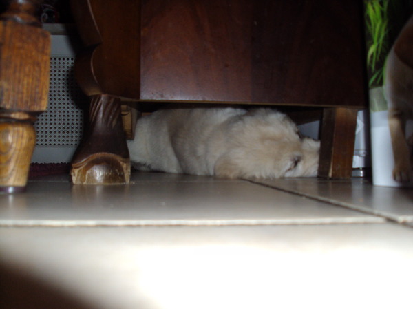 hier lig ik lekker!!